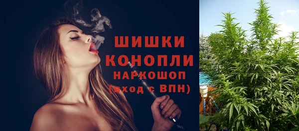 стафф Краснотурьинск